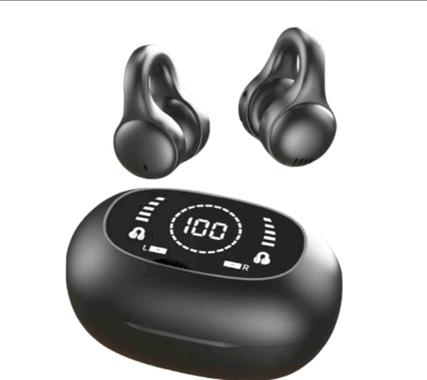 True Wireless Stereo (TWS) Earbuds with LED